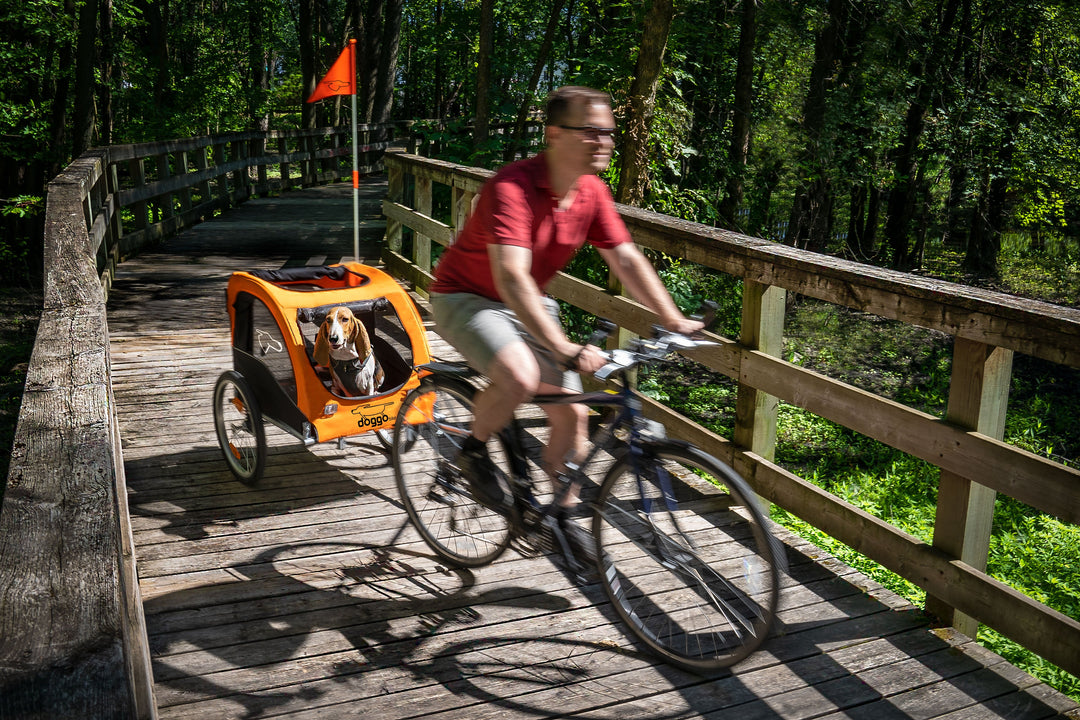 What's the Best Way to Enjoy Bike Rides Along with Your Dog?