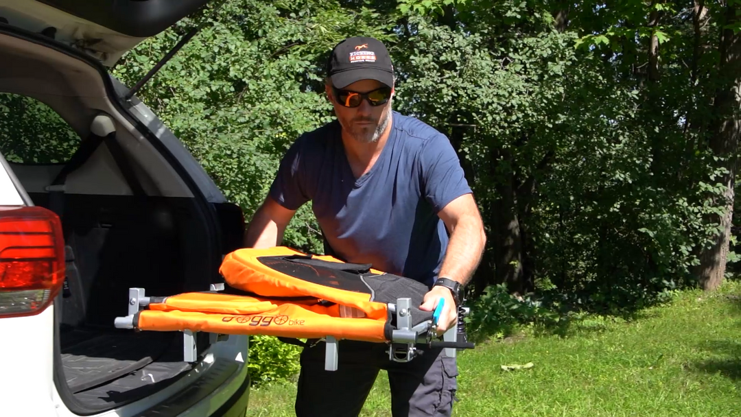 Folds down flat Chris Doggo Bike trailer