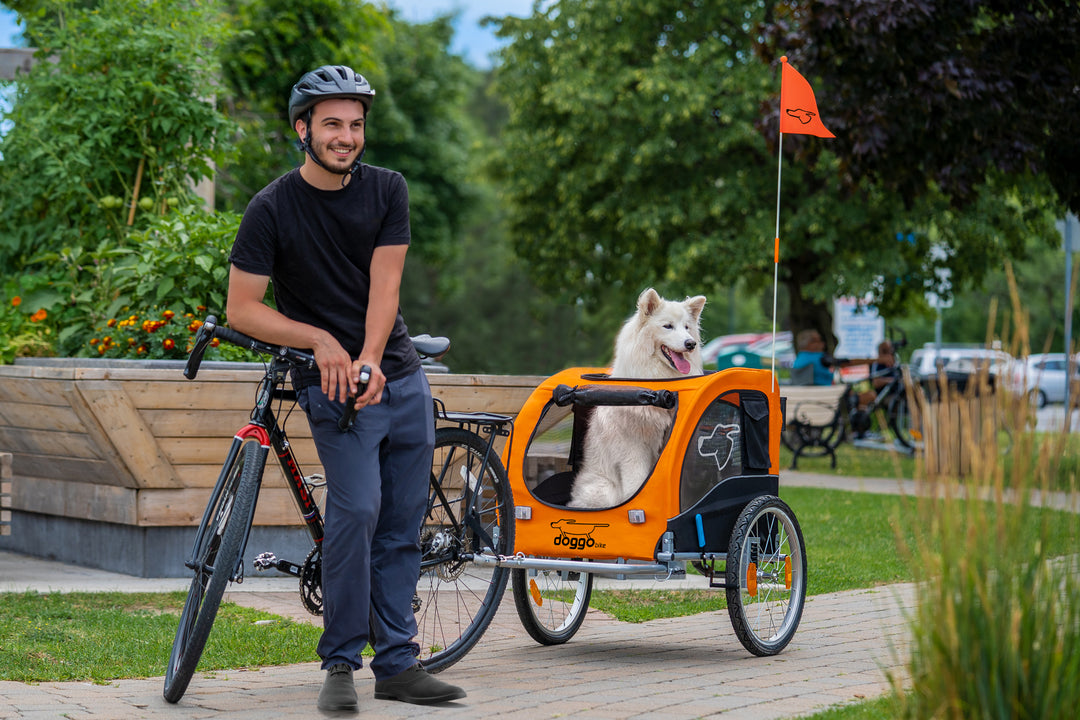 Doggo Bike Trailer with white Samoyed dog and men on his bike
