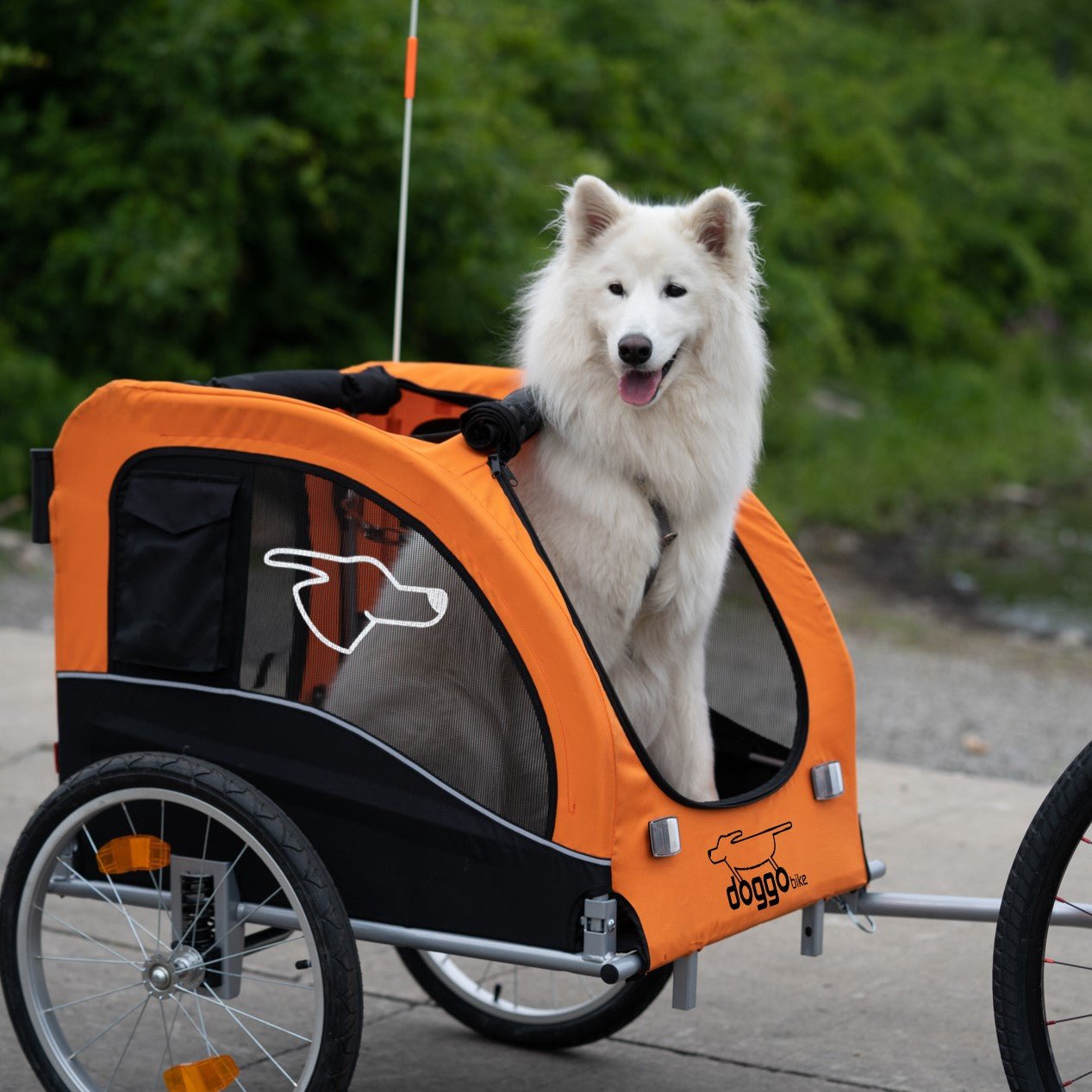 Doggo Bike® trailer The bike trailer stroller jogger meant for dogs