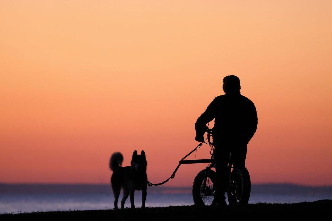 5 Benefits of Biking with Your Dog