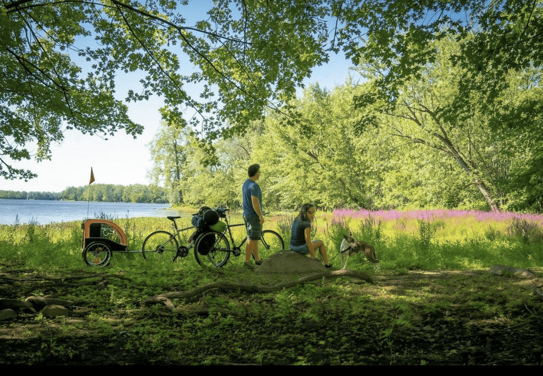 Training Tails: Tips and Techniques for Biking with Your Dog