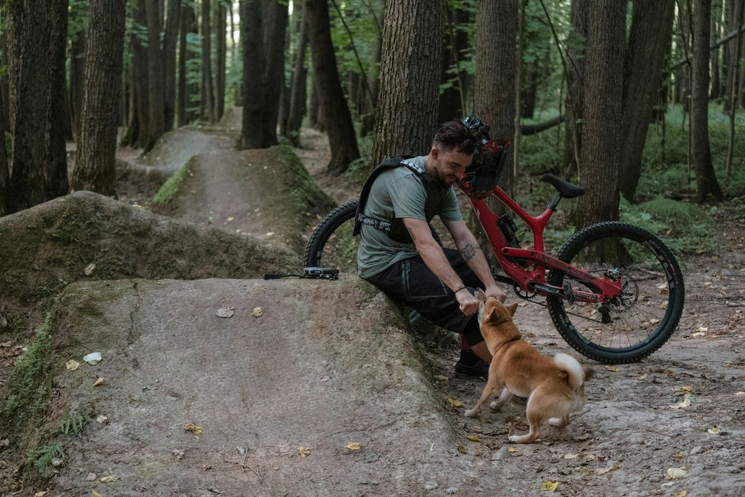 Training Your Dog for Bike Rides: Tips and Tricks