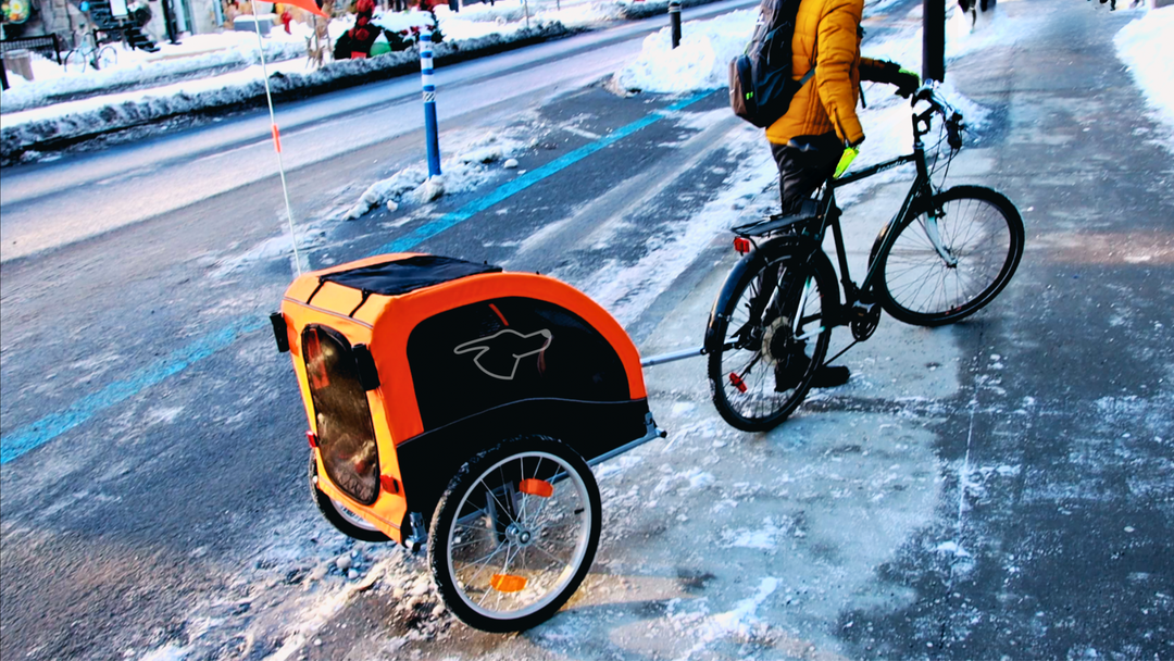 Remolque Para Bicicleta Para Perros - HoundAbout II™ Bicycle Trailer d — La  Tienda de Frida & Chelsee