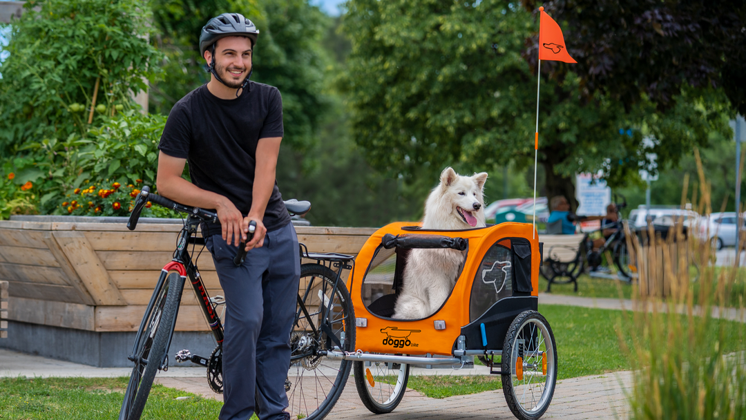 Remorque à vélo Jogger pour votre chien et bagages - Euro Expos