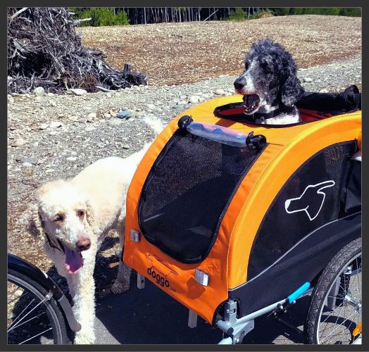 Doggo Bike™ trailer - Premium Dog Bike Trailer developed for your dog
