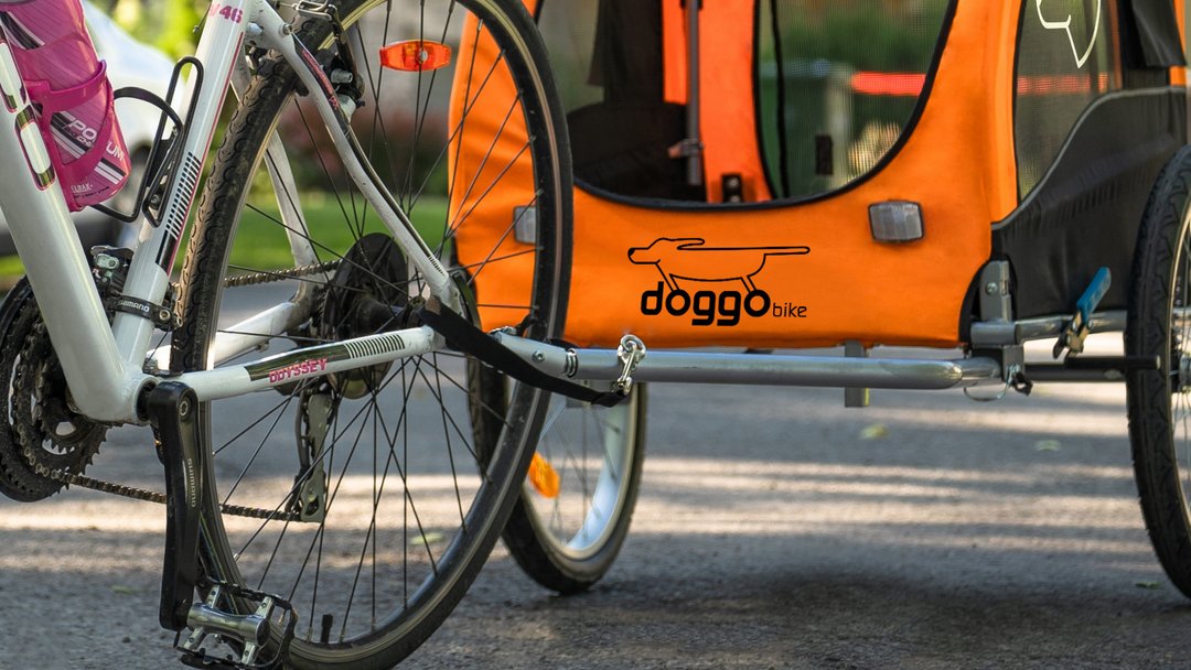 Safety strap Doggo Bike trailer