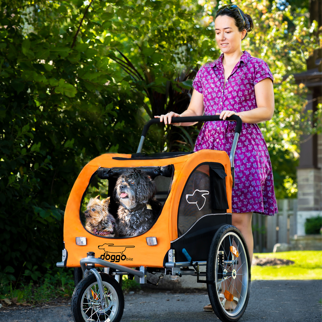 ARGO Remorque à vélo poussette taille L chariot pour chien animaux 5  couleurs