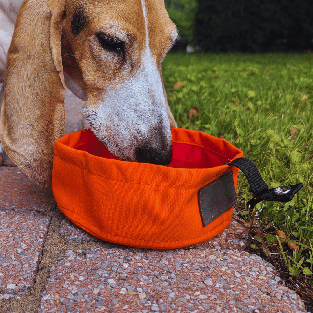 Portable bowl - Doggo Bike