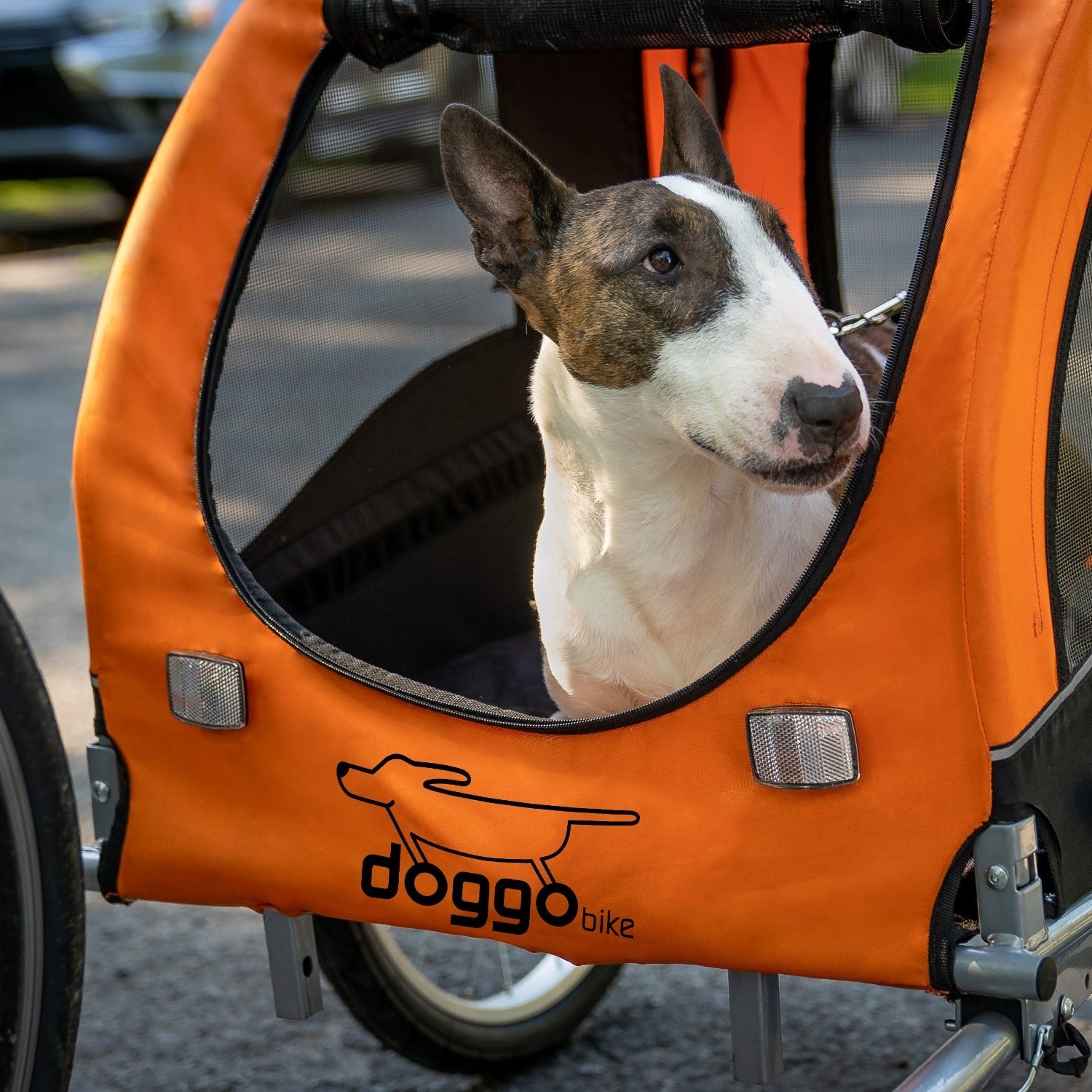 Dog bike trailer hot sale for 2 dogs